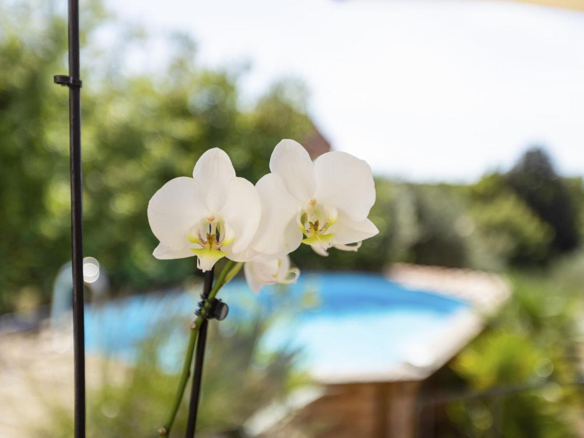 Modern Holiday Home With Private Pool Brignoles Exterior foto